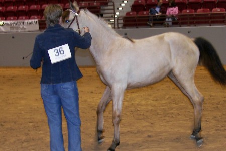 Medicine Man's Prairie Rose and I