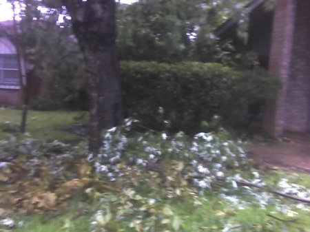 front yard debris