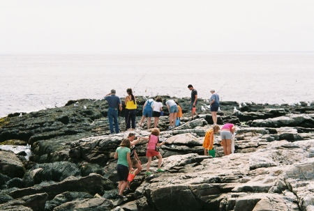 Tide pooling on the rocks