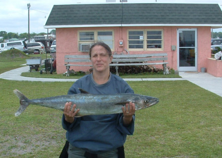 King Mackerel