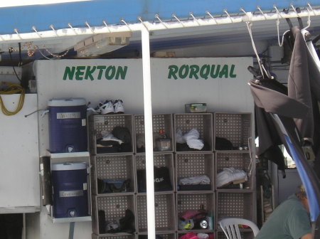 Cay Sal "Nekton Rorqual" 2008