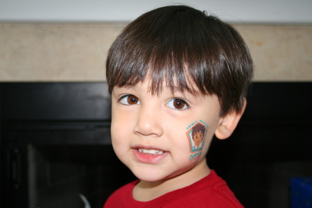 our son Cameron (2.5 yrs. old) loves Tatoos
