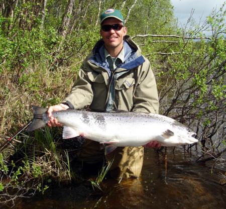 Atlantic Salmon above artic circle/Russia