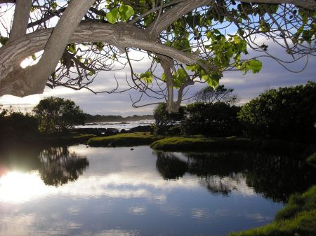 Ole Hawaiian Fishin' Hole