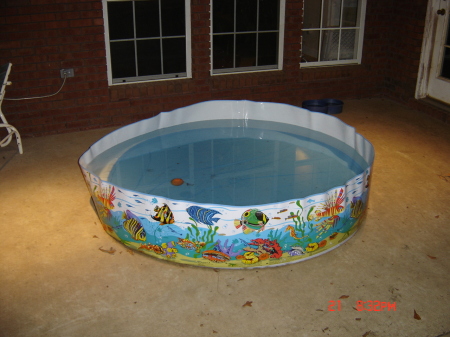 New Pool!!!