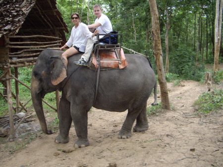 Elephant Riding Thailand