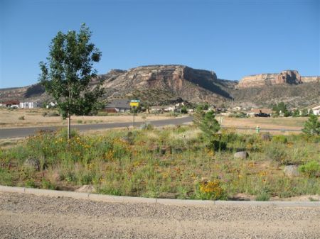 out my front door:  Colorado National Monument