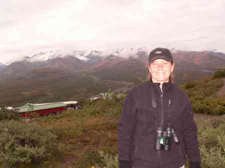 Summer 08 in Denali National Park, Alaska