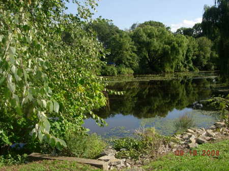 Brown's Pond