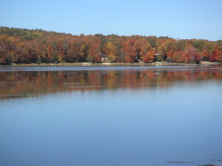 Lake in our development