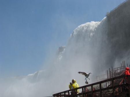 Niagra Falls