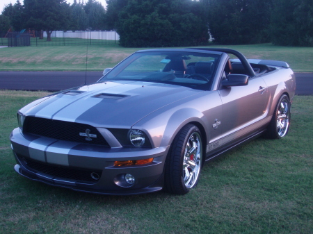 40th Anniversary Shelby