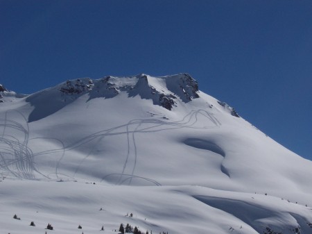 Our snowmobile trax in the back country.