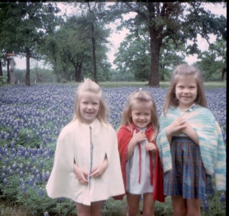 Bluebonnets with Daisy and Mary Jane