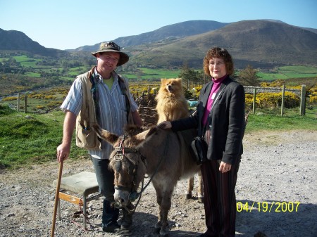 ME in Ireland with a gyspy and donkey with dog