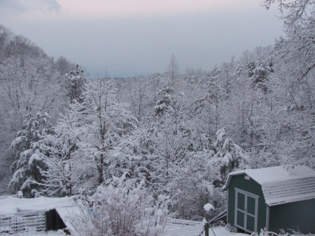 View from my back deck.