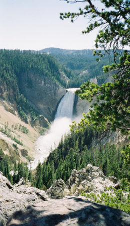 Grand Canyon of Yellowstone