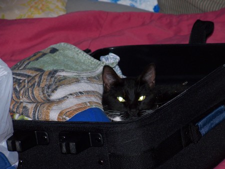 Luna helping tiffany pack.