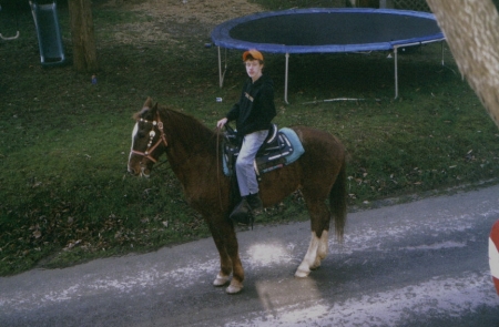 Lady - our first horse.