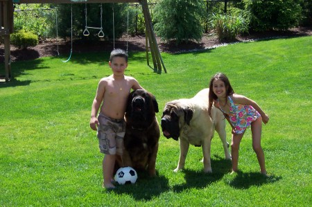 Kids with Dogs