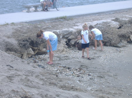 The kids looking for shells