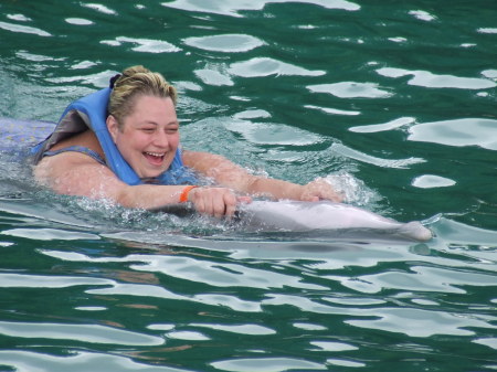 dolphin swim