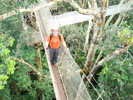 Canopy Walk