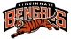 Bengals Away Game reunion event on Nov 14, 2010 image