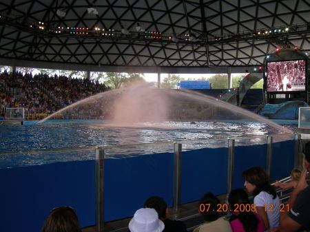 Sea World - San Antonio