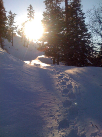 My snowshoe tracks.