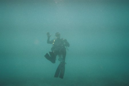 Great Barrier Reef-pic.16-date24-10-08