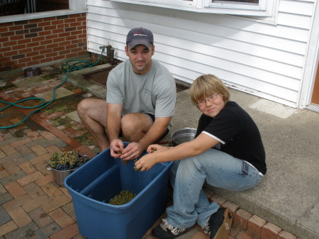 Cleaning grapes