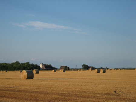 Tiezen Farm