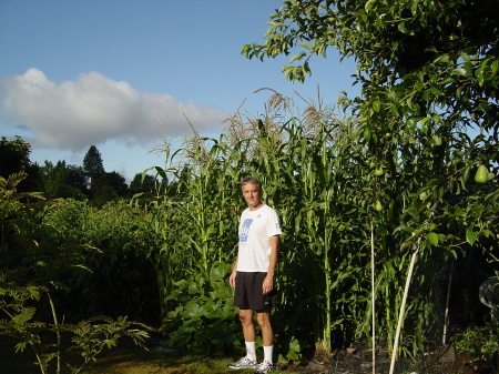 2008 Corn