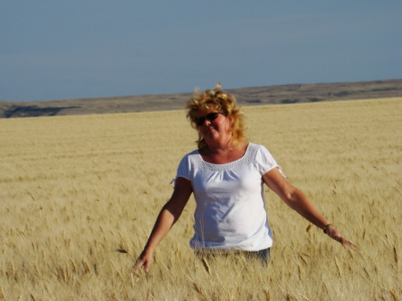 HARVEST 2008