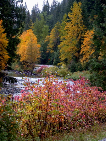 Glacier Park