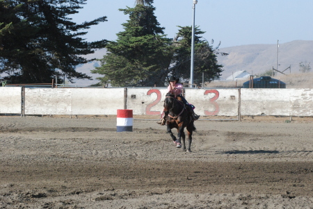 2008 NBHA Finals