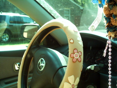 my Geek in pink car