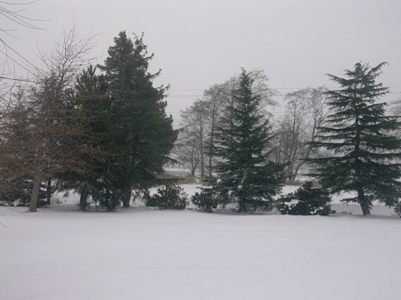 Winter snow at our farm