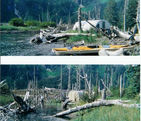 McMullen Base Camp in Aialik Bay, Alaska Summer 2001