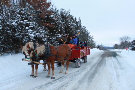 2010 Christmas 2-Horse Open Sleigh