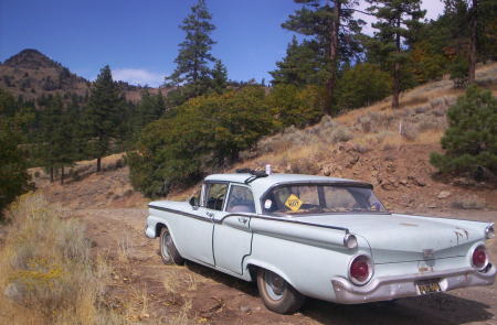 My 1959 Ford Custom