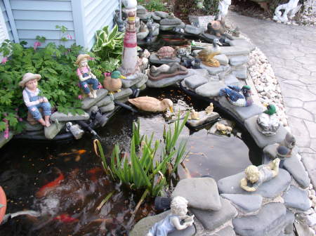 My pond