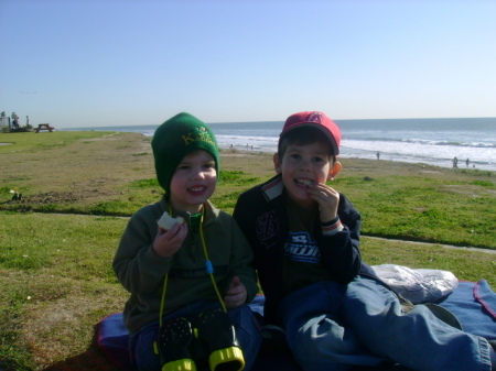 Winter Picnic at the beach