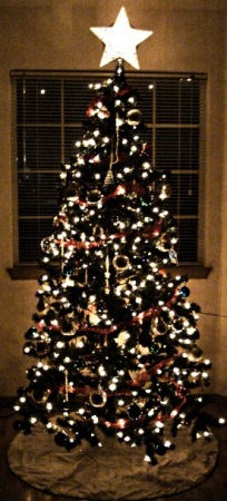 Our tree 2008