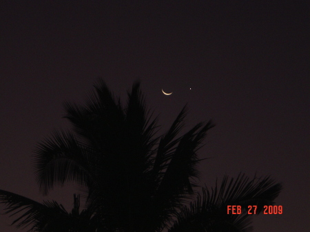 The Moon and Venus, 2009