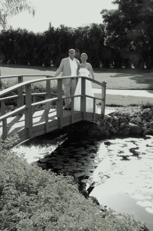 The Bridge at the Reception!