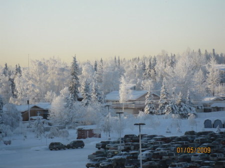 winter in ALASKA 2009/negative 27degrees