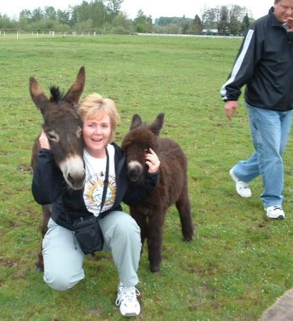 At the donkey farm