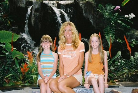 Polynesian Resort, Disney World  Summer 05